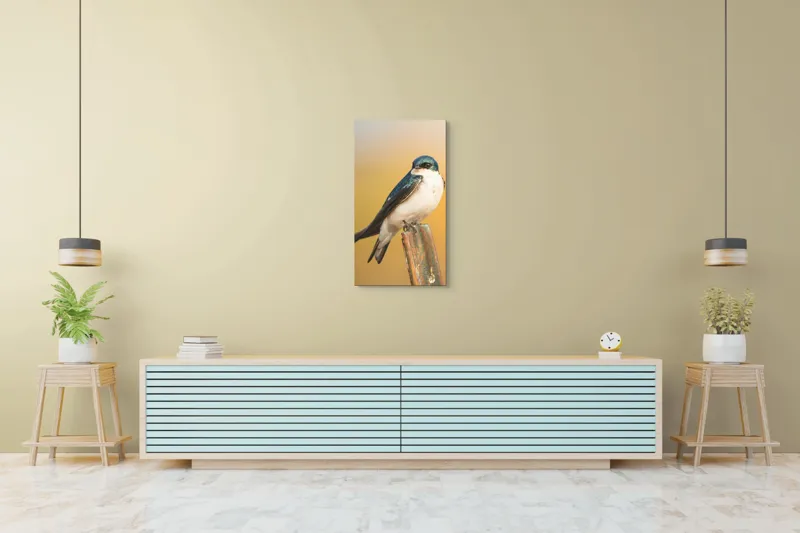 Tablou Canvas, Pasăre, Rândunică, Pene, Metal, Fundal, Natural, Ochi, Penaj, Frumusețe, Delicatețe, 50 x 90 cm – poza 6