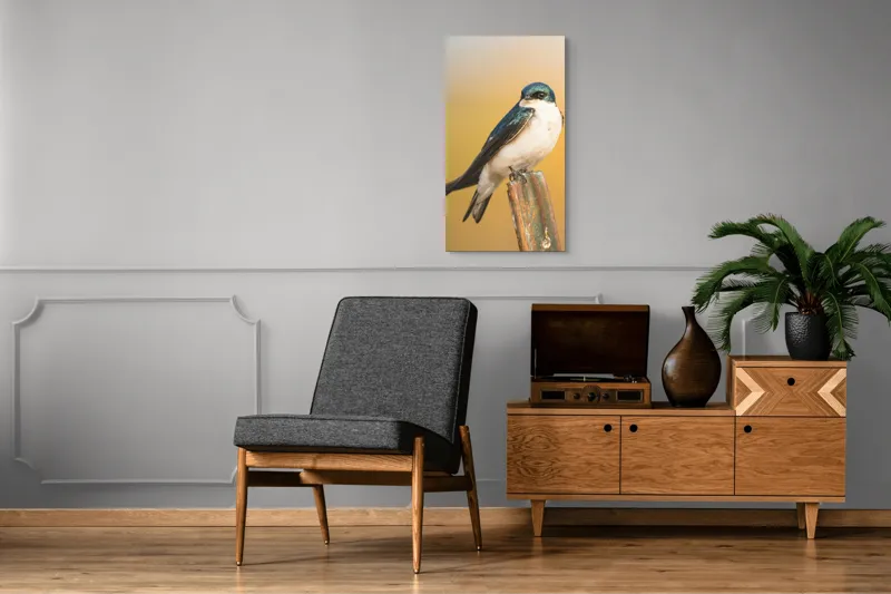 Tablou Canvas, Pasăre, Rândunică, Pene, Metal, Fundal, Natural, Ochi, Penaj, Frumusețe, Delicatețe, 50 x 90 cm – poza 8