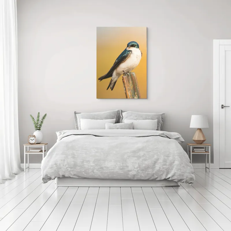 Tablou Canvas, Pasăre, Rândunică, Pene, Metal, Fundal, Natural, Ochi, Penaj, Frumusețe, Delicatețe, 70 x 100 cm – poza 3