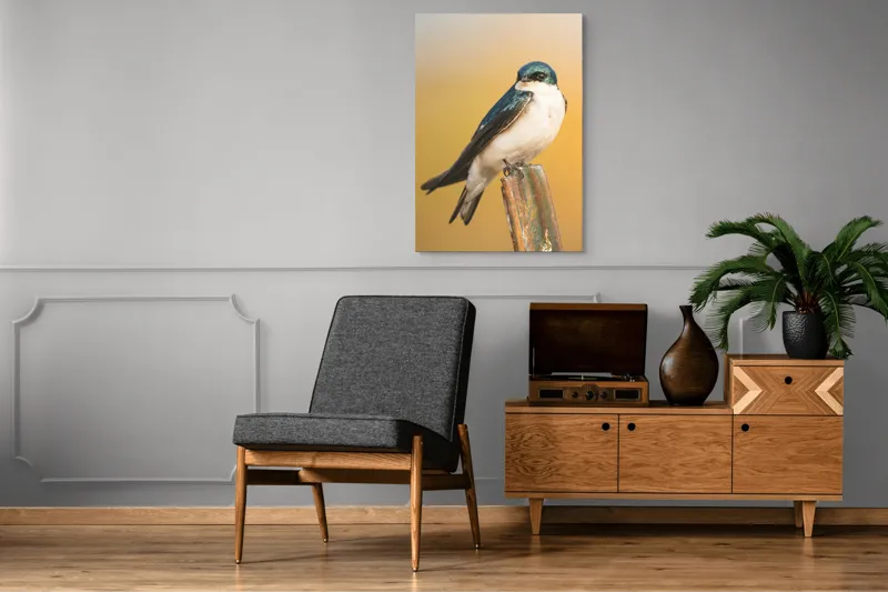 Tablou Canvas, Pasăre, Rândunică, Pene, Metal, Fundal, Natural, Ochi, Penaj, Frumusețe, Delicatețe, 70 x 100 cm – poza 6