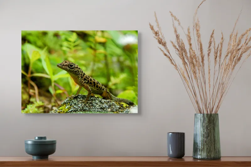 Tablou Canvas, "Mic prieten ascuns printre frunze", Neștire, Animat, Viu, Verdeață, Observator, Camuflaj, Natură, Finețe, 54 x 39 cm – poza 4