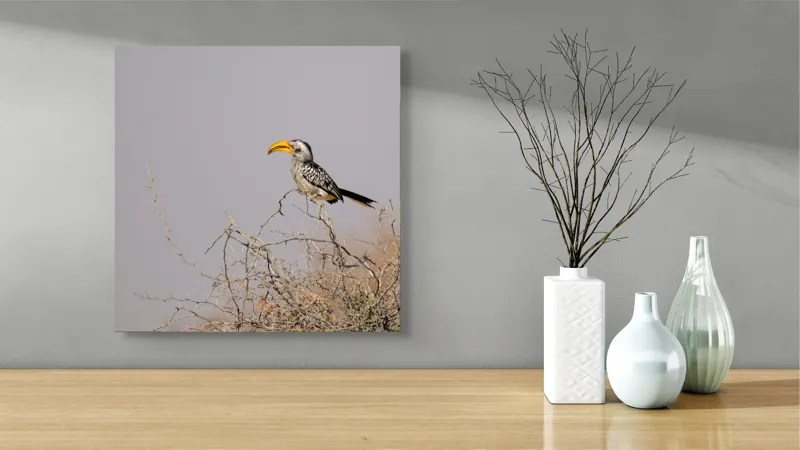 Tablou Canvas, "Pasărea în armonia savanei africane", Pasăre, Crenguță, Cioc, Galben, Cer, Gri, Natură, Singurătate, Observare, Serenitate, 50 x 50 cm – poza 3