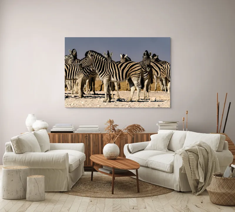 Tablou Canvas, "Zebrele savanei sub soarele fierbinte", Zebre, Dungile, Grup, Safari, Savana, Natura, Wildlife, Africa, Soare, Peisaj, 150 x 100 cm – poza 3