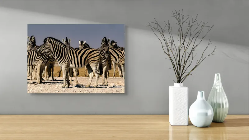 Tablou Canvas, "Zebrele savanei sub soarele fierbinte", Zebre, Dungile, Grup, Safari, Savana, Natura, Wildlife, Africa, Soare, Peisaj, 54 x 39 cm – poza 3
