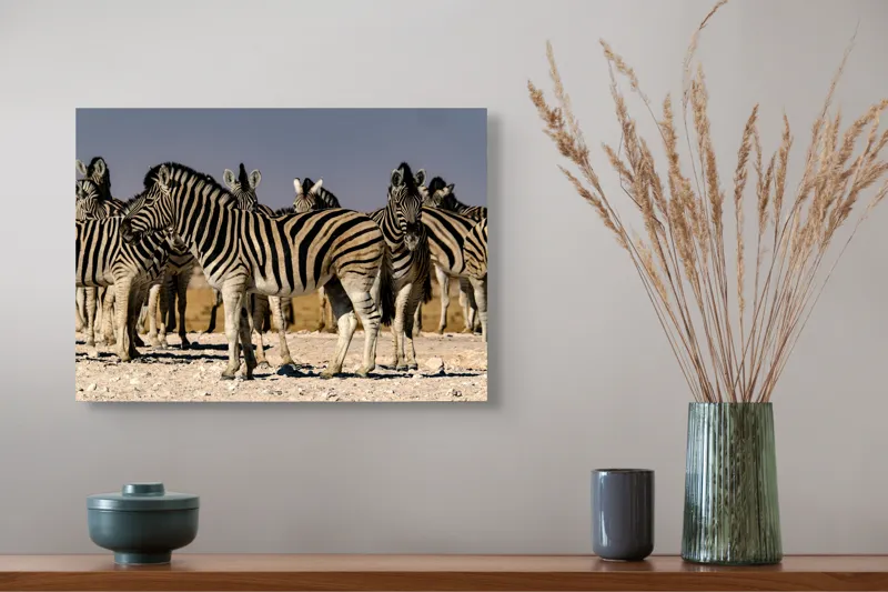 Tablou Canvas, "Zebrele savanei sub soarele fierbinte", Zebre, Dungile, Grup, Safari, Savana, Natura, Wildlife, Africa, Soare, Peisaj, 54 x 39 cm – poza 4