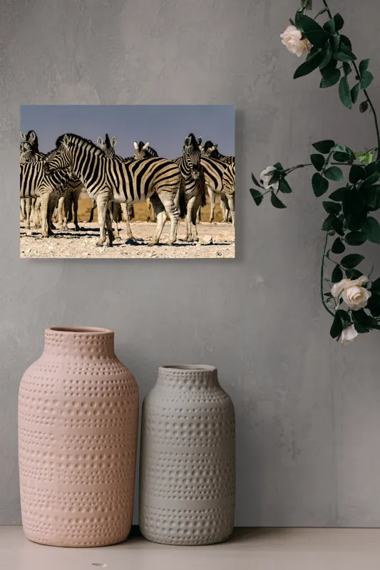Tablou Canvas, "Zebrele savanei sub soarele fierbinte", Zebre, Dungile, Grup, Safari, Savana, Natura, Wildlife, Africa, Soare, Peisaj, 54 x 39 cm – poza 8