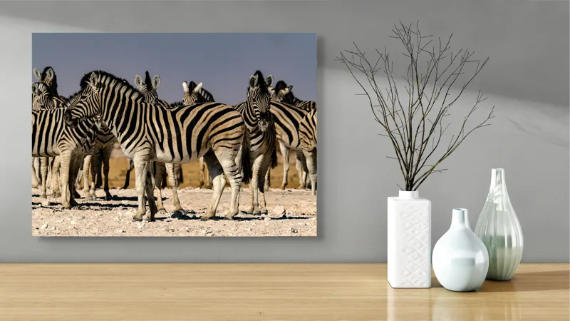 Tablou Canvas, "Zebrele savanei sub soarele fierbinte", Zebre, Dungile, Grup, Safari, Savana, Natura, Wildlife, Africa, Soare, Peisaj, 70 x 50 cm – poza 3