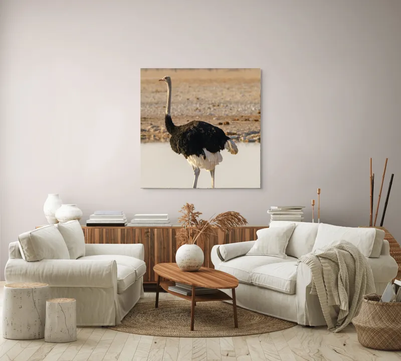 Tablou Canvas, "Struț singuratic pe malul apei", 100 x 100 cm – poza 3