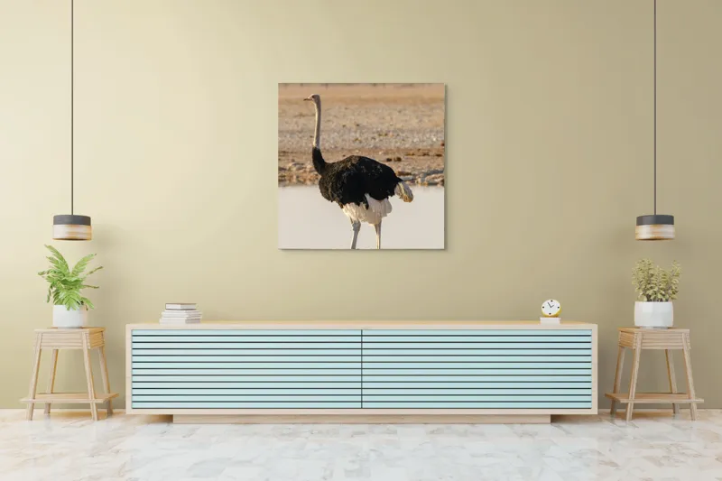 Tablou Canvas, "Struț singuratic pe malul apei", 100 x 100 cm – poza 5