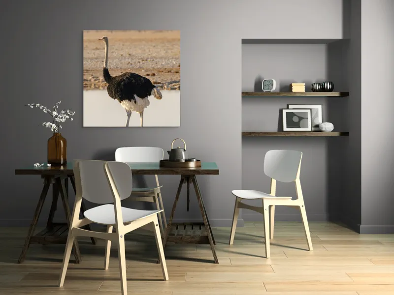 Tablou Canvas, "Struț singuratic pe malul apei", 100 x 100 cm – poza 6