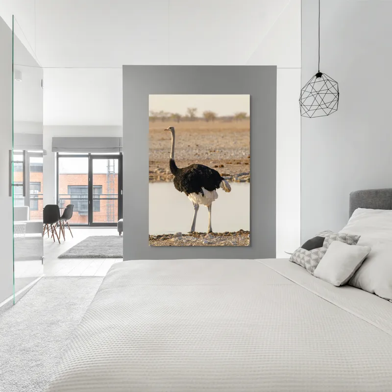 Tablou Canvas, "Struț singuratic pe malul apei", 100 x 150 cm – poza 5