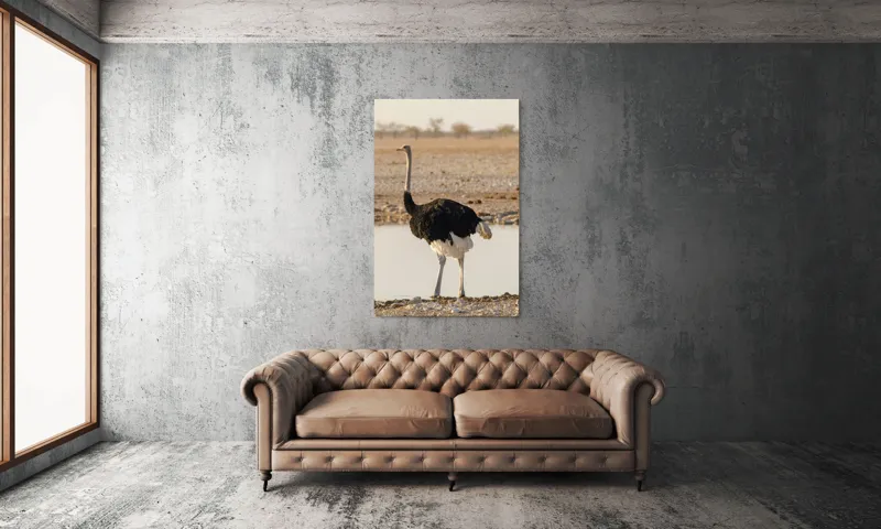 Tablou Canvas, "Struț singuratic pe malul apei", 100 x 150 cm – poza 6