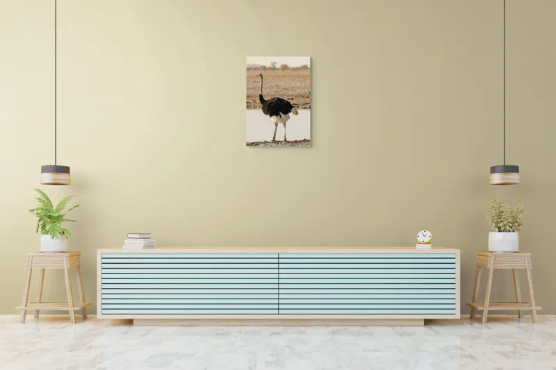 Tablou Canvas, "Struț singuratic pe malul apei", 50 x 70 cm – poza 6