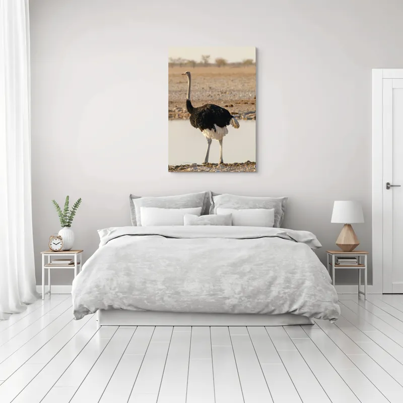 Tablou Canvas, "Struț singuratic pe malul apei", 70 x 100 cm – poza 3