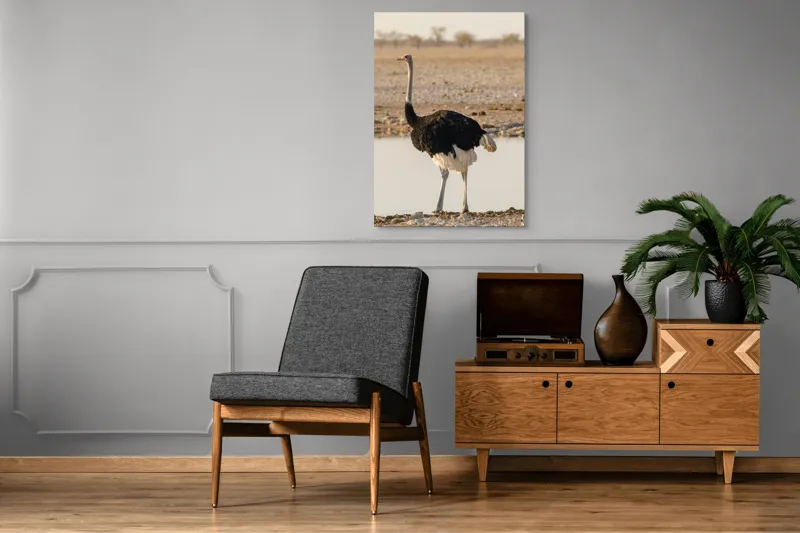 Tablou Canvas, "Struț singuratic pe malul apei", 70 x 100 cm – poza 6
