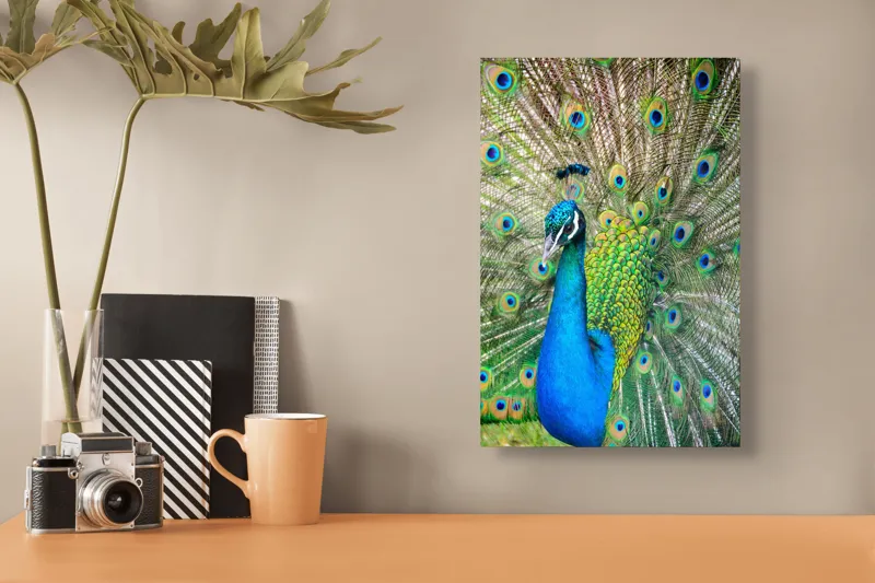 Tablou Canvas, "Pavoazarea strălucitoare a păunului regal", Păun, Magnific, Culori, Penaj, Armonie, Eleganță, Splendoare, Regalitate, Natură, Artă, 26 x 39 cm – poza 3
