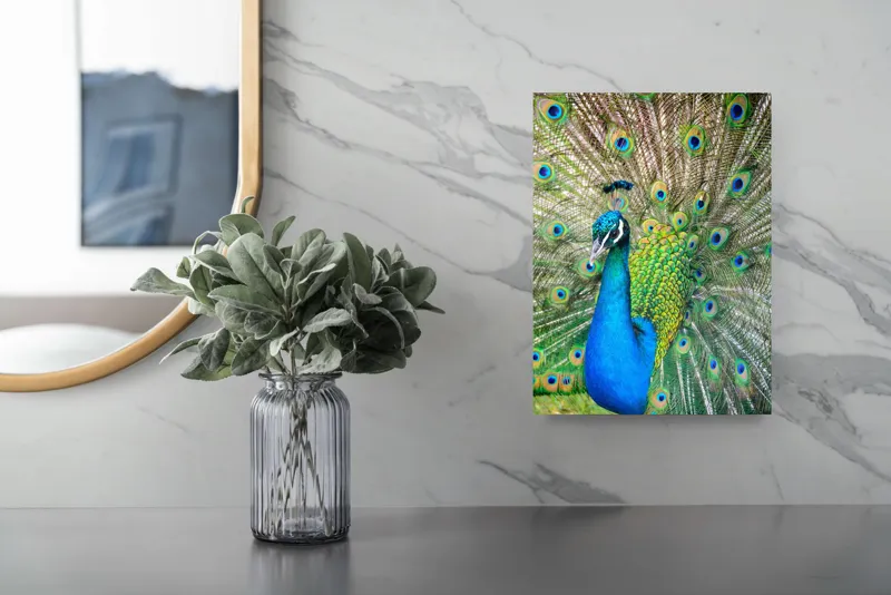 Tablou Canvas, "Pavoazarea strălucitoare a păunului regal", Păun, Magnific, Culori, Penaj, Armonie, Eleganță, Splendoare, Regalitate, Natură, Artă, 26 x 39 cm – poza 4