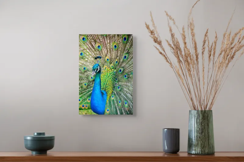 Tablou Canvas, "Pavoazarea strălucitoare a păunului regal", Păun, Magnific, Culori, Penaj, Armonie, Eleganță, Splendoare, Regalitate, Natură, Artă, 26 x 39 cm – poza 5