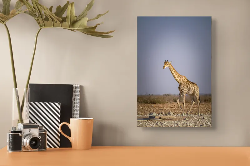 Tablou Canvas, "Giraful plimbându-se prin savană africană", Girafă, Savana, Arid, Cer, Linie, Elegantă, Liniște, Natură, Peisaj., 26 x 39 cm – poza 3