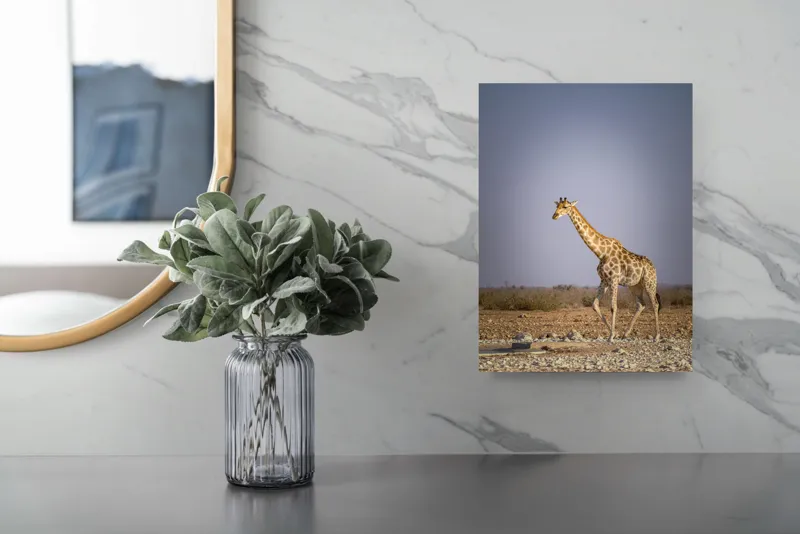 Tablou Canvas, "Giraful plimbându-se prin savană africană", Girafă, Savana, Arid, Cer, Linie, Elegantă, Liniște, Natură, Peisaj., 26 x 39 cm – poza 4