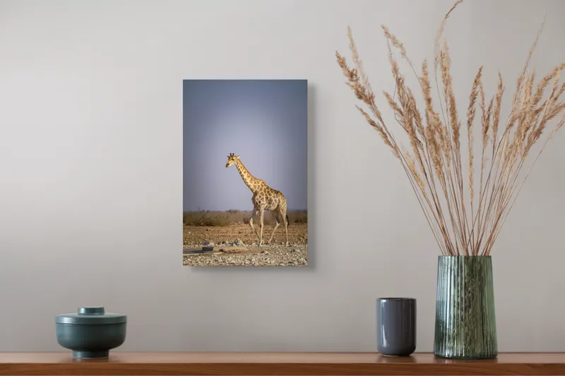 Tablou Canvas, "Giraful plimbându-se prin savană africană", Girafă, Savana, Arid, Cer, Linie, Elegantă, Liniște, Natură, Peisaj., 26 x 39 cm – poza 5