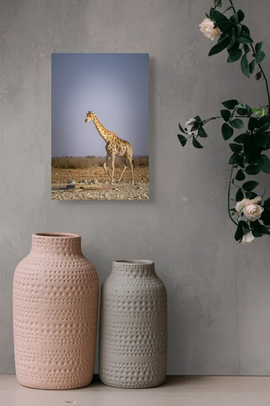 Tablou Canvas, "Giraful plimbându-se prin savană africană", Girafă, Savana, Arid, Cer, Linie, Elegantă, Liniște, Natură, Peisaj., 26 x 39 cm – poza 6
