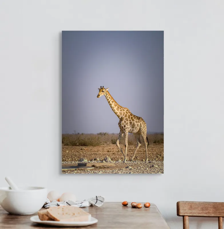 Tablou Canvas, "Giraful plimbându-se prin savană africană", Girafă, Savana, Arid, Cer, Linie, Elegantă, Liniște, Natură, Peisaj., 50 x 70 cm – poza 3
