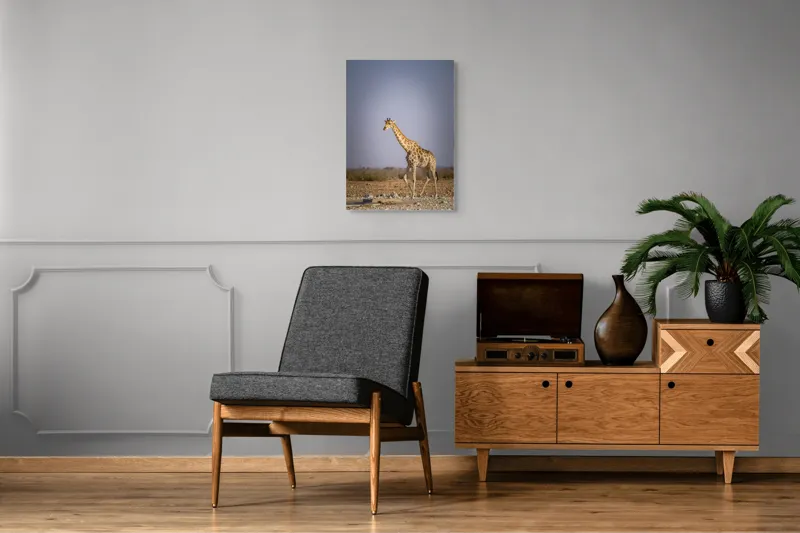 Tablou Canvas, "Giraful plimbându-se prin savană africană", Girafă, Savana, Arid, Cer, Linie, Elegantă, Liniște, Natură, Peisaj., 50 x 70 cm – poza 8