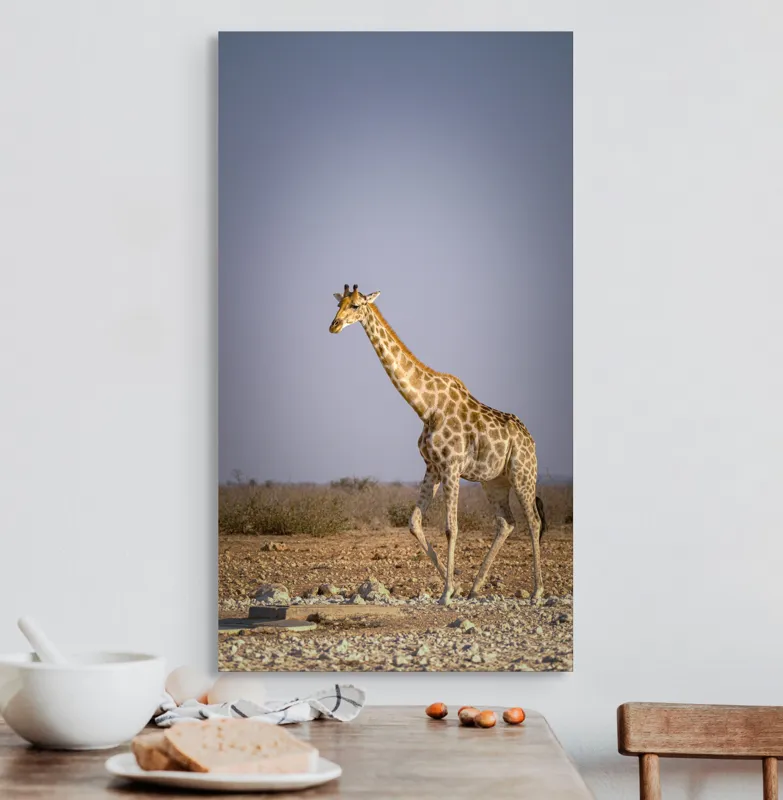 Tablou Canvas, "Giraful plimbându-se prin savană africană", Girafă, Savana, Arid, Cer, Linie, Elegantă, Liniște, Natură, Peisaj., 50 x 90 cm – poza 3