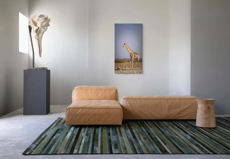 Tablou Canvas, "Giraful plimbându-se prin savană africană", Girafă, Savana, Arid, Cer, Linie, Elegantă, Liniște, Natură, Peisaj., 50 x 90 cm – poza 5