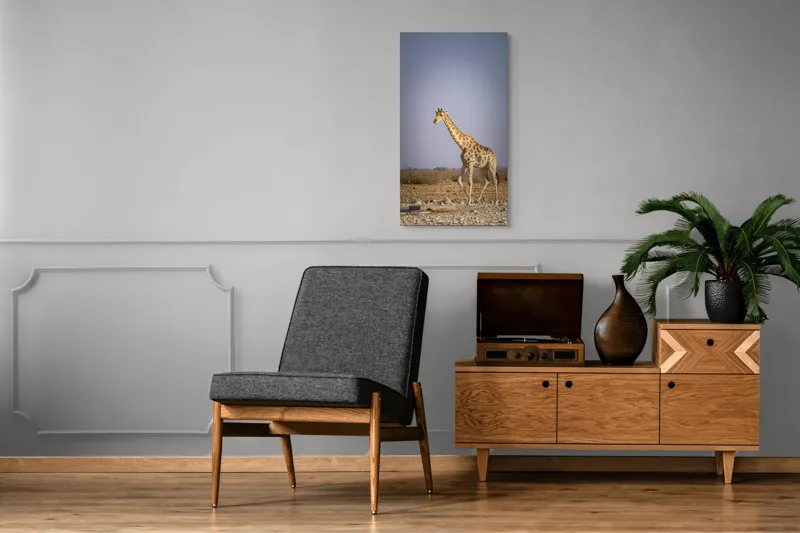 Tablou Canvas, "Giraful plimbându-se prin savană africană", Girafă, Savana, Arid, Cer, Linie, Elegantă, Liniște, Natură, Peisaj., 50 x 90 cm – poza 8