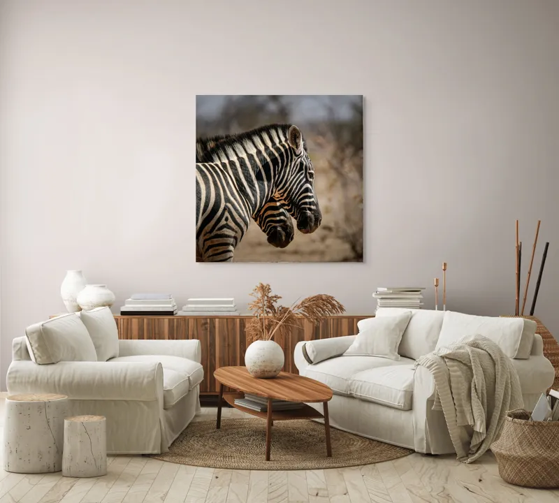 Tablou Canvas, "Zebre în savana africană uscată", Zebre, Dungi, Natură, Savană, Peisaj, Faună, Contrast, Blană, 100 x 100 cm – poza 3