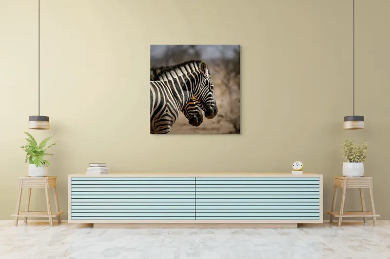 Tablou Canvas, "Zebre în savana africană uscată", Zebre, Dungi, Natură, Savană, Peisaj, Faună, Contrast, Blană, 100 x 100 cm – poza 5