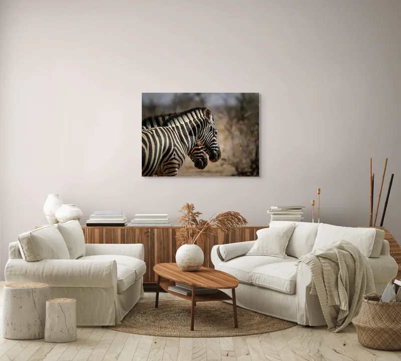 Tablou Canvas, "Zebre în savana africană uscată", Zebre, Dungi, Natură, Savană, Peisaj, Faună, Contrast, Blană, 100 x 70 cm – poza 3