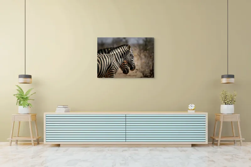 Tablou Canvas, "Zebre în savana africană uscată", Zebre, Dungi, Natură, Savană, Peisaj, Faună, Contrast, Blană, 100 x 70 cm – poza 4
