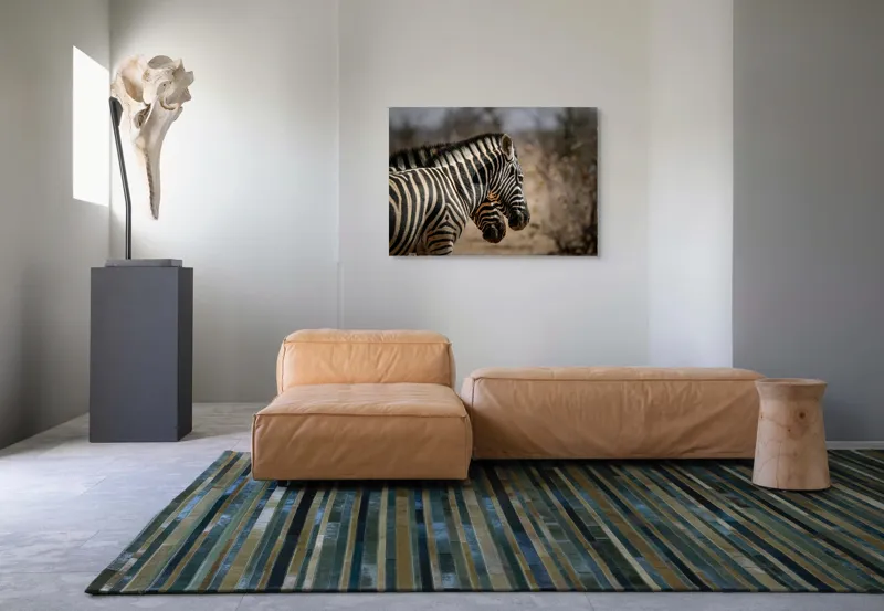 Tablou Canvas, "Zebre în savana africană uscată", Zebre, Dungi, Natură, Savană, Peisaj, Faună, Contrast, Blană, 100 x 70 cm – poza 7