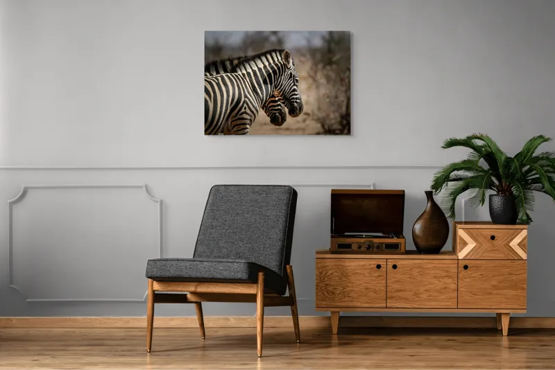 Tablou Canvas, "Zebre în savana africană uscată", Zebre, Dungi, Natură, Savană, Peisaj, Faună, Contrast, Blană, 100 x 70 cm – poza 8