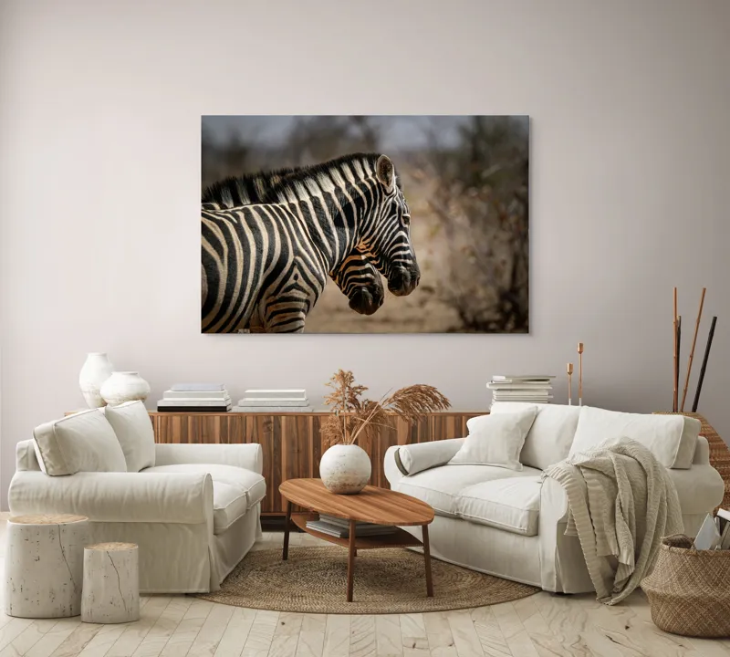 Tablou Canvas, "Zebre în savana africană uscată", Zebre, Dungi, Natură, Savană, Peisaj, Faună, Contrast, Blană, 150 x 100 cm – poza 3