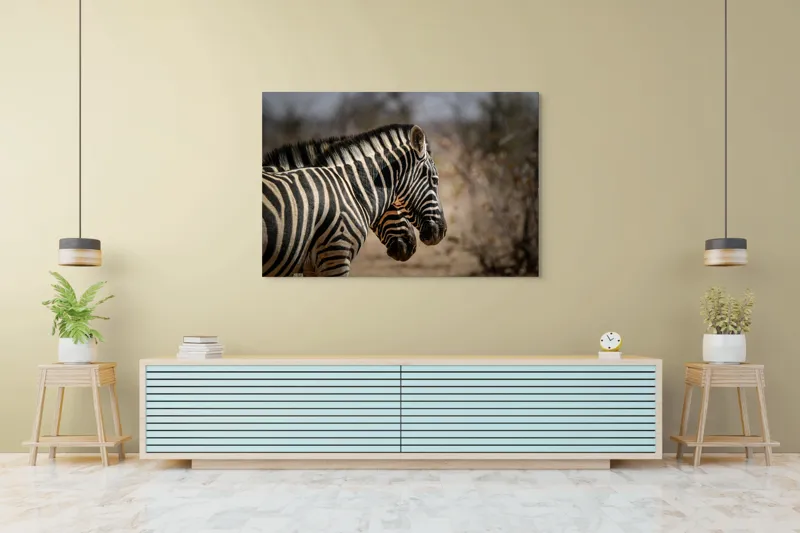 Tablou Canvas, "Zebre în savana africană uscată", Zebre, Dungi, Natură, Savană, Peisaj, Faună, Contrast, Blană, 150 x 100 cm – poza 6