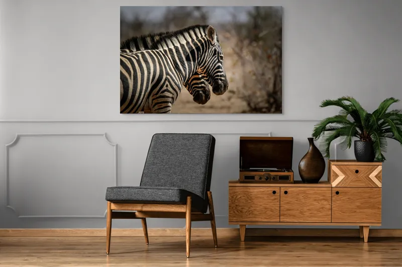 Tablou Canvas, "Zebre în savana africană uscată", Zebre, Dungi, Natură, Savană, Peisaj, Faună, Contrast, Blană, 150 x 100 cm – poza 8