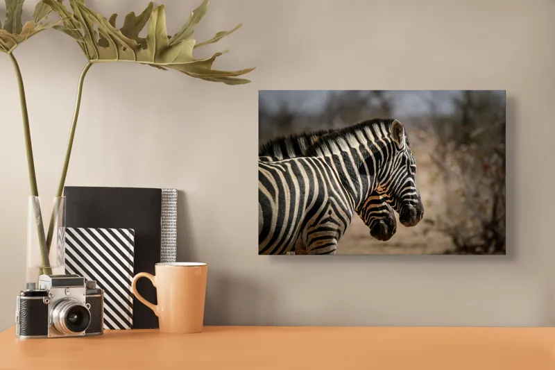 Tablou Canvas, "Zebre în savana africană uscată", Zebre, Dungi, Natură, Savană, Peisaj, Faună, Contrast, Blană, 39 x 26 cm – poza 3