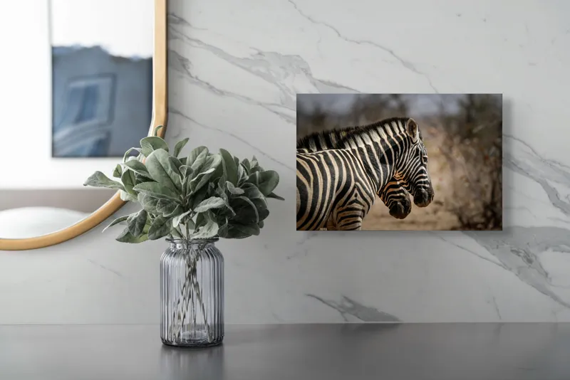 Tablou Canvas, "Zebre în savana africană uscată", Zebre, Dungi, Natură, Savană, Peisaj, Faună, Contrast, Blană, 39 x 26 cm – poza 5