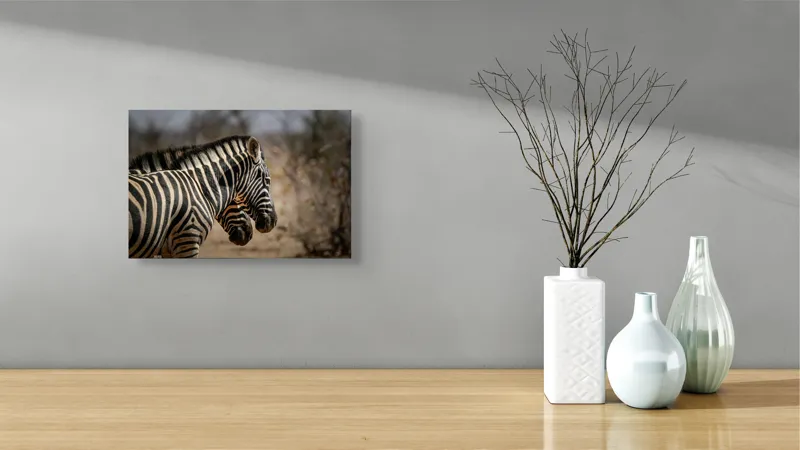 Tablou Canvas, "Zebre în savana africană uscată", Zebre, Dungi, Natură, Savană, Peisaj, Faună, Contrast, Blană, 39 x 26 cm – poza 8