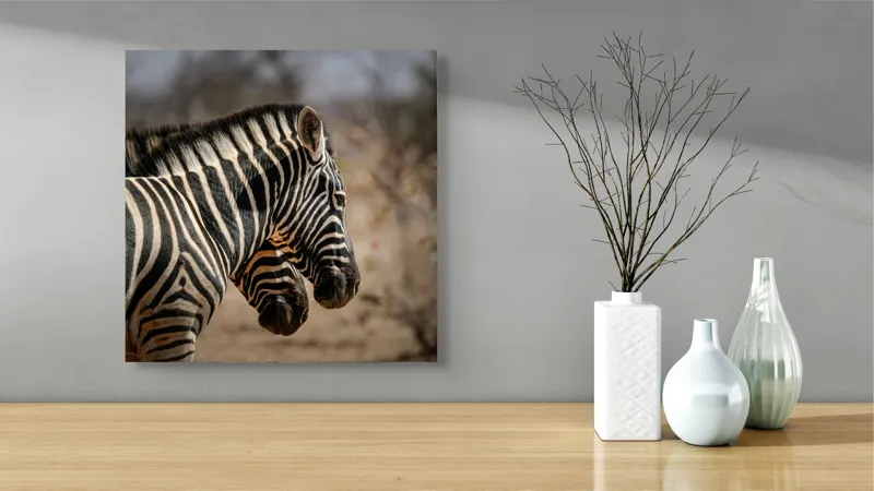 Tablou Canvas, "Zebre în savana africană uscată", Zebre, Dungi, Natură, Savană, Peisaj, Faună, Contrast, Blană, 50 x 50 cm – poza 3