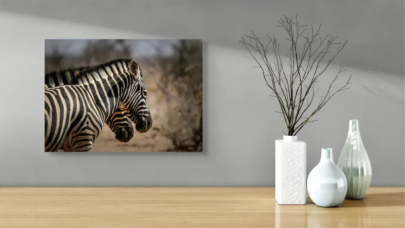 Tablou Canvas, "Zebre în savana africană uscată", Zebre, Dungi, Natură, Savană, Peisaj, Faună, Contrast, Blană, 54 x 39 cm – poza 3