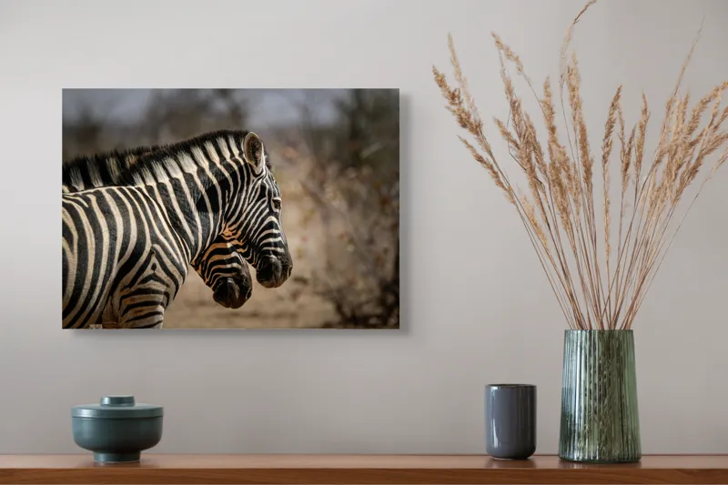 Tablou Canvas, "Zebre în savana africană uscată", Zebre, Dungi, Natură, Savană, Peisaj, Faună, Contrast, Blană, 54 x 39 cm – poza 4