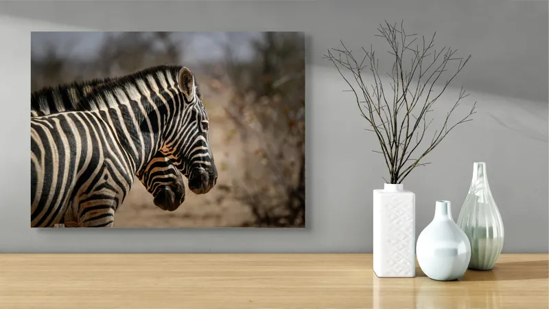Tablou Canvas, "Zebre în savana africană uscată", Zebre, Dungi, Natură, Savană, Peisaj, Faună, Contrast, Blană, 70 x 50 cm – poza 3