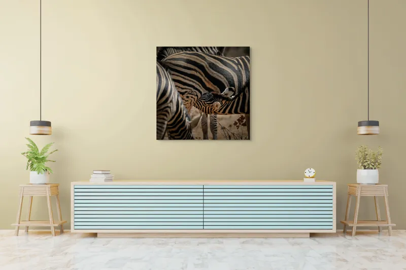 Tablou Canvas, "Zebre în armonie naturală", 100 x 100 cm – poza 5