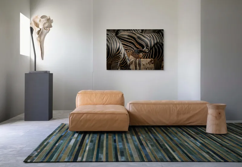 Tablou Canvas, "Zebre în armonie naturală", 100 x 70 cm – poza 7