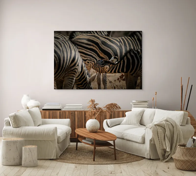 Tablou Canvas, "Zebre în armonie naturală", 150 x 100 cm – poza 3